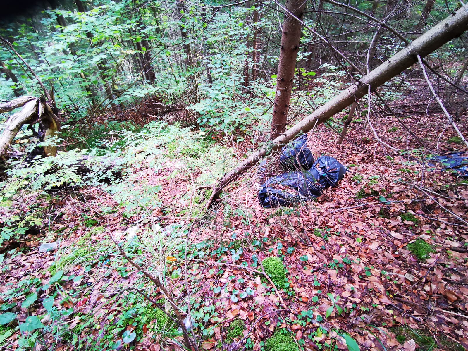 IMG-20220924-WA0042